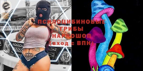 сатива Наволоки