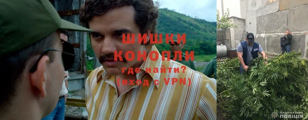 бошки Белокуриха