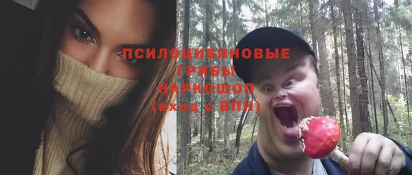 кокс Богородск